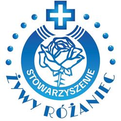 Moderator Archidiecezji Katowickiej