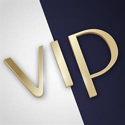 Vip Biznes i styl