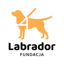 Labrador Pies Przewodnik. Fundacja na Rzecz Osób Niewidomych