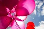 b5e47c3f-6820-4074-bc16-50f64c2730f9
