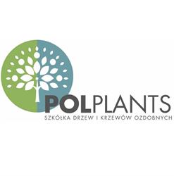 Pol-Plants Szkółka Drzew i Krzewów Ozdobnych Kamil Dudek