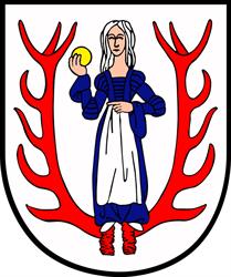 Gmina Biały Bór