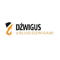 Dźwigus Usługi Dźwigami, Żurawie, Manitou, HDS