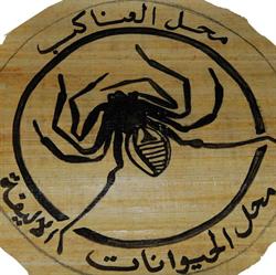 Spider Shop sklep terrarystyczny