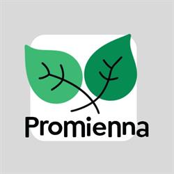 Willa Promienna