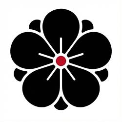Szkoła Aikido Zielona Góra