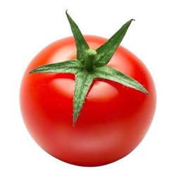 Tomato Poznań - DNK Sp. z o.o.