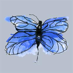 Błękitny Motyl - Integracja Sensoryczna. TUS- trening umiejętności społecznych. Magdalena Pawulska