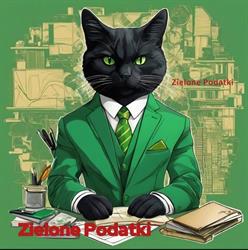 Zielone Podatki Biuro Rachunkowe Żyrardów