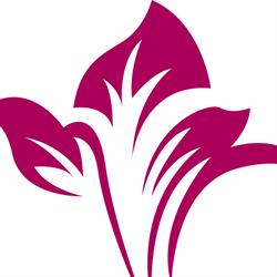 TOP CLINIC DER-MED - Klinika dermatologii, laseroterapii, medycyny estetycznej i chirurgii