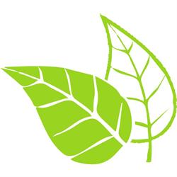 naturaprojekt.pl