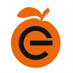 Orange Electric