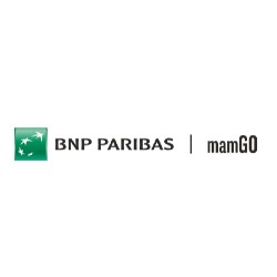 mamGO.pl – platforma aut z możliwością leasingu, kredytu lub najmu długoterminowego