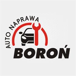 AUTO NAPRAWA Boroń