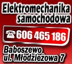 Elektromechanika Samochodowa