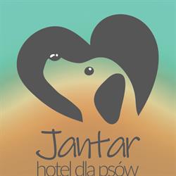 Hotel dla psów "Jantar" Parchów, Dolnośląskie.