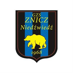 Znicz Niedźwiedź. Klub sportowy