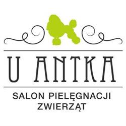 U Antka Salon Pielęgnacji Zwierząt