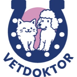 VetDoktor Gabinet Weterynaryjny