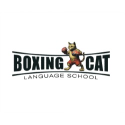 Szkoła Języka Angielskiego - Boxing Cat School - Stacjonarnie i Online