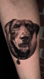 Portret psa w wykonaniu Adi M Tattoo
