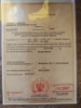 Przewozy raxi z licencją zawodowy kierowca