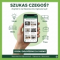 Ogłoszenia