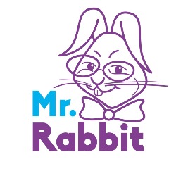 Półkolonie MR. RABBIT American Camp Toruń