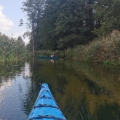 Spływ kajakowy Krutynią (Krutyń – Rosocha)