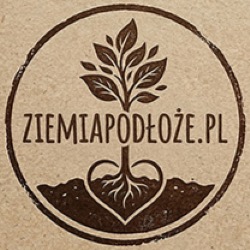 Ziemia Podłoże