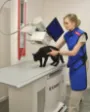 RTG kota - Przychodnia Weterynaryjna Alcedo w Poznaniu