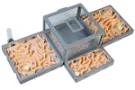 Formikarium AntLove