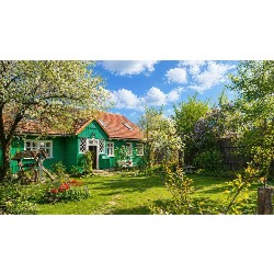 Hotel dla psów, szkolenia dla psów, opieka dzienna i transport - Zielona Chatka