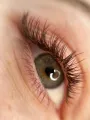 Przedłużanie rzęs Ansty Lashes
