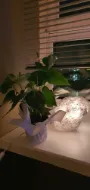 gabinet hipnoterapii bio-medica