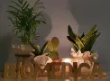 gabinet hipnoterapii bio-medica