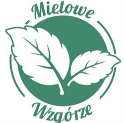 Miętowe Wzgórze Domek z Balią \"Sokoli Kamień\"