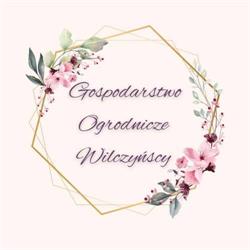 Gospodarstwo Ogrodnicze Wilczyńscy
