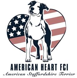 American Heart FCI - domowa hodowla American Staffordshire Terrier / akcesoria dla psów