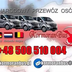 Kormoran Bus Przewozy do Niemiec, do Holandii, do Belgii
