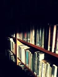 Biblioteka Publiczna w Sulęcinie