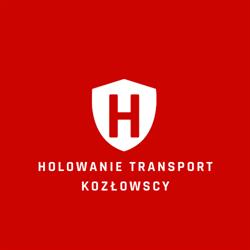 Pomoc Drogowa Gostynin. Holowanie Auto Holl