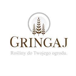 Gringaj - Rośliny do Twojego Ogrodu