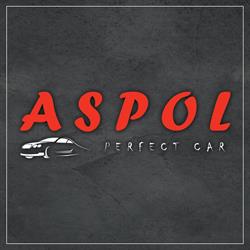 Aspol Perfect Car