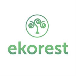Ekorest - Wycinka drzew