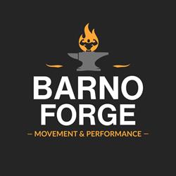 Barnogym - treningi personalne - Witów