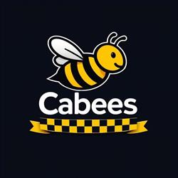 Cabees Taxi i Bus Błaszki 24h