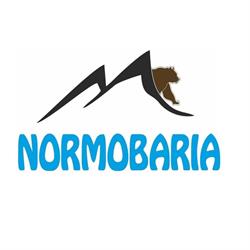 Komora Normobaryczna - Normobaria Gawra