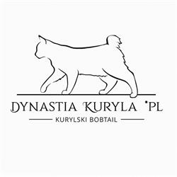 Dynastia Kuryla*PL