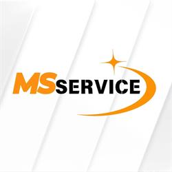 MS Service